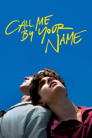 Call Me by Your Name Style B Movie Poster 11 x 17 inch