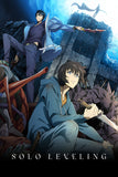 Solo Leveling Style: 1 - 27 x 40 inch. TV Show Poster