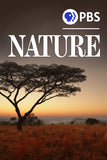 Nature Style: 2 - 27 x 40 inch. TV Show Poster