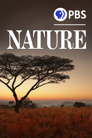 Nature Style: 2 - 27 x 40 inch. TV Show Poster