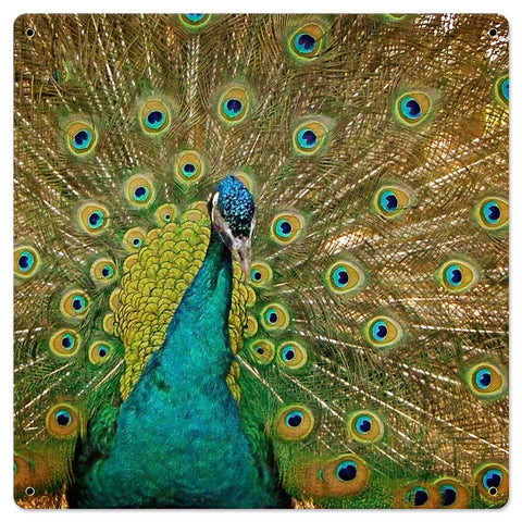 Peacock-Vintage-Sign-Metal-Sign