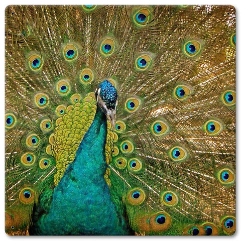 Peacock-Vintage-Sign-Metal-Sign