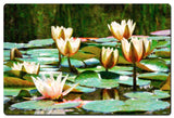 Water Lillies A La Monet Vintage Sign Metal Sign