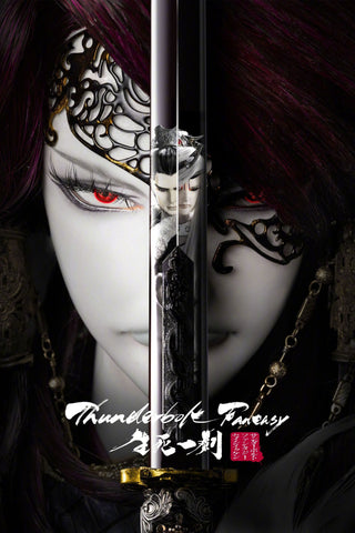 Thunderbolt Fantasy: The Sword of Life and Death Style A Movie Poster 11 x 17 inch