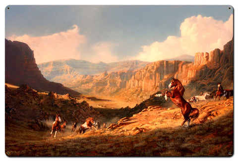 Desperado-Vintage-Sign-Metal-Sign