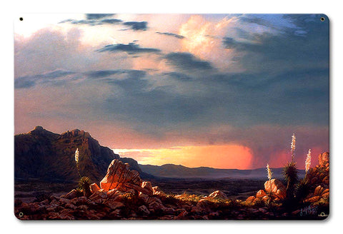 Arizona Rain Vintage Sign Metal Sign