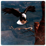 Eagle Domain Vintage Sign Metal Sign