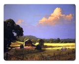 Golden Days Vintage Sign Metal Sign