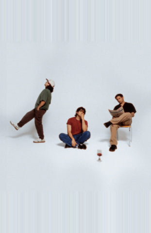 Heart - Plastic Wine 11 x 17 inch. Album Cover Poster