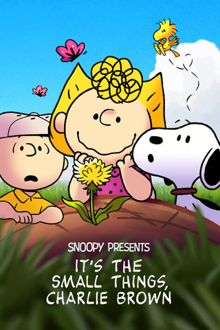 Snoopy Presents: It's the Small Things, Charlie Brown Style A Movie Poster 11 x 17 inch