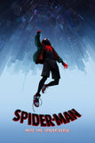 Spider-Man: Into the Spider-Verse Style A Movie Poster 11 x 17 inch