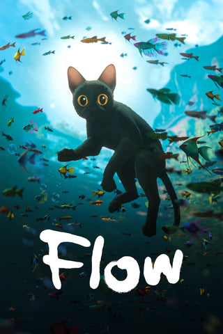 Flow Style A Movie Poster 11 x 17 inch