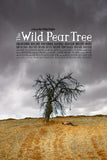 The Wild Pear Tree Style B Movie Poster 27 x 40 inch