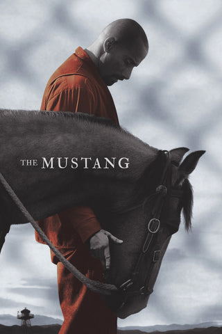 The Mustang Style B Movie Poster 11 x 17 inch