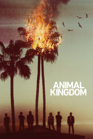 Animal Kingdom Style: 3 - 27 x 40 inch. TV Show Poster