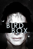 Bird Box Style B Movie Poster 27 x 40 inch
