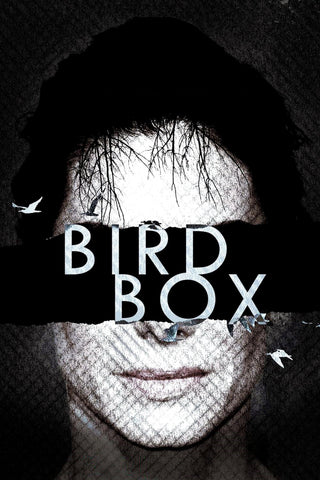 Bird Box Style B Movie Poster 27 x 40 inch