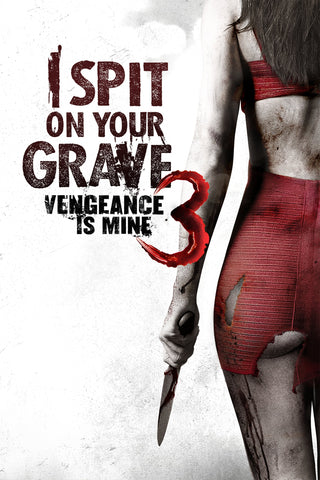 I Spit on Your Grave III: Vengeance Is Mine Style A Movie Poster 27 x 40 inch
