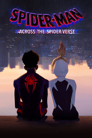 Spider-Man: Across the Spider-Verse Style C Movie Poster 27 x 40 inch