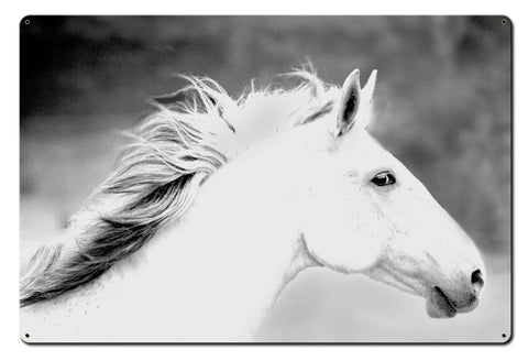 Mane In The Wind Metal Sign