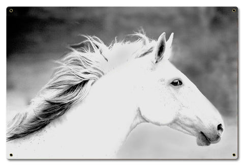 Mane In The Wind Metal Sign