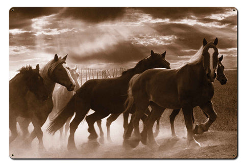Running Horses Metal Sign
