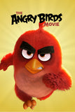 The Angry Birds Movie Style B Movie Poster 11 x 17 inch