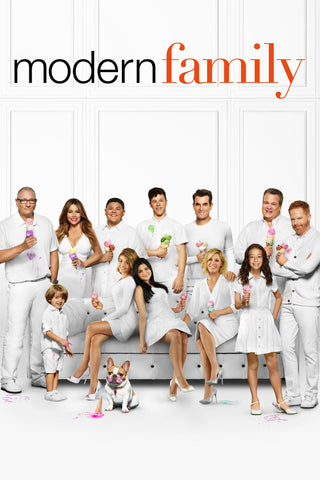 Modern Family Style: 1 - 11 x 17 inch. TV Show Poster