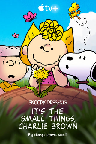 Snoopy Presents: It's the Small Things, Charlie Brown Style C Movie Poster 27 x 40 inch