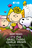 Snoopy Presents: It's the Small Things, Charlie Brown Style C Movie Poster 11 x 17 inch