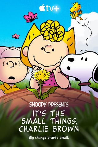 Snoopy Presents: It's the Small Things, Charlie Brown Style C Movie Poster 11 x 17 inch