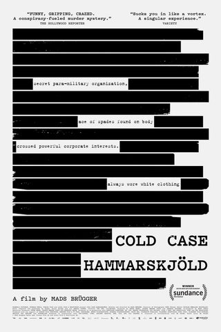 Cold Case Hammarskjöld Style D Movie Poster 11 x 17 inch