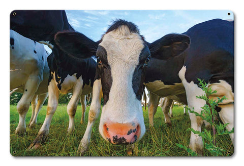 Cows-Vintage-Sign-Metal-Sign