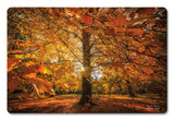 Autumn Scene Vintage Sign Metal Sign