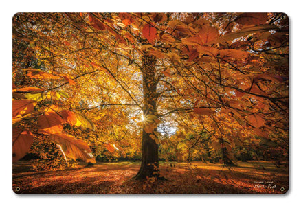 Autumn Scene Vintage Sign Metal Sign