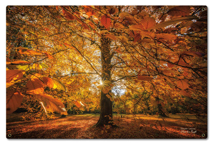 Autumn Scene2 Vintage Sign Metal Sign
