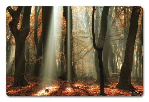 Light Through The Trees Vintage Sign Metal Sign