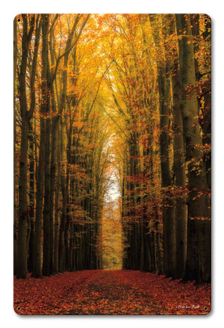 Path of Trees Vintage Sign Metal Sign