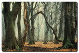 Trees In The Fog Vintage Sign Metal Sign