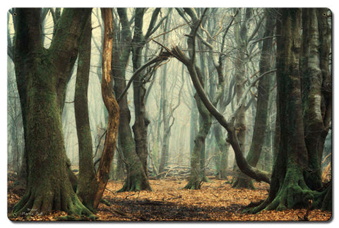Trees-In-The-Fog-Vintage-Sign-Metal-Sign