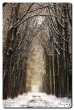 Path In The Snow Vintage Sign Metal Sign