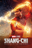 Shang-Chi and the Legend of the Ten Rings Style E Movie Poster 27 x 40 inch
