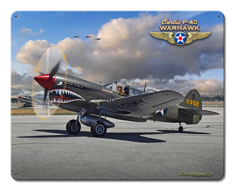 P 40 Warhawk Metal Sign