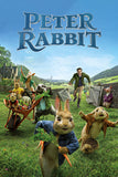 Peter Rabbit Style B Movie Poster 27 x 40 inch