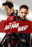 Ant-Man and the Wasp Style B Movie Poster 11 x 17 inch