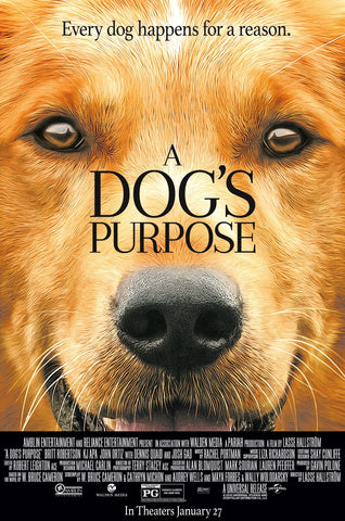 A Dog's Purpose Style E Movie Poster 11 x 17 inch