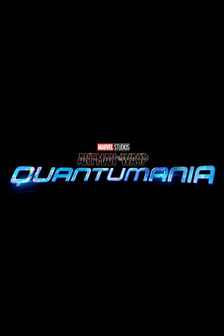 Ant-Man and the Wasp: Quantumania Style D Movie Poster 27 x 40 inch