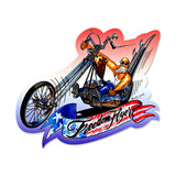 Freedom Flyer Vintage Sign Metal Sign