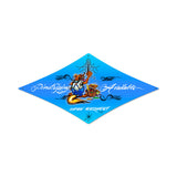 Pinstriping Vintage Sign Metal Sign