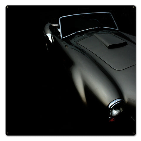 Classic-Curves-Vintage-Sign-Metal-Sign